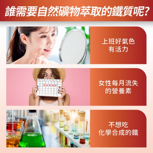 達摩本草 西班牙微膠囊化鐵 30粒