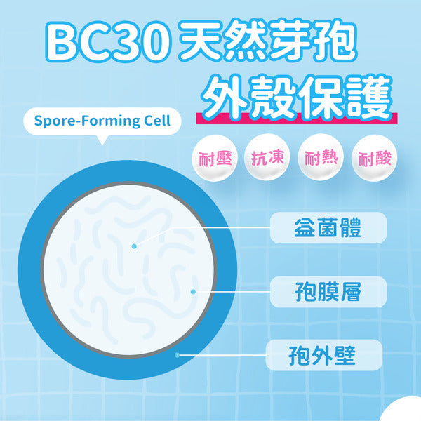 達摩本草 益生菌補給 乳酸味軟糖 10粒