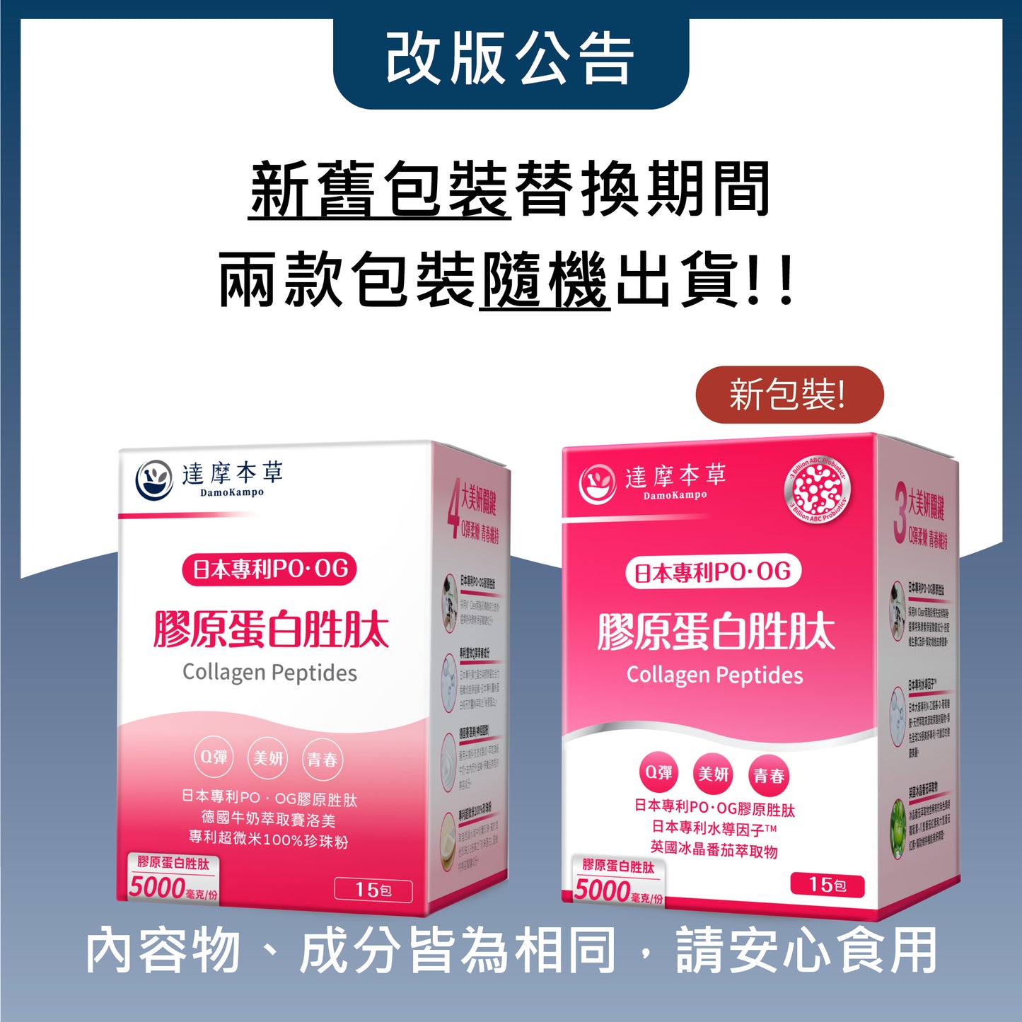 達摩本草 日本膠原蛋白胜肽抗氧美肌珍珠粉 15包