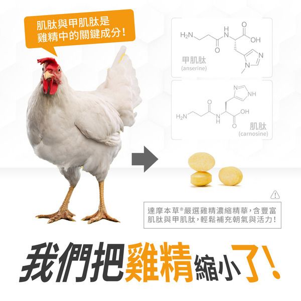 達摩本草 天然長效維他命B雜 (加入雞精+朝鮮薊+人蔘精華) 30粒