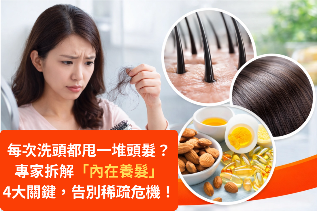 2026香港防脫髮推薦：專家拆解4大內在養髮關鍵 | 達摩本草 DamoKampo