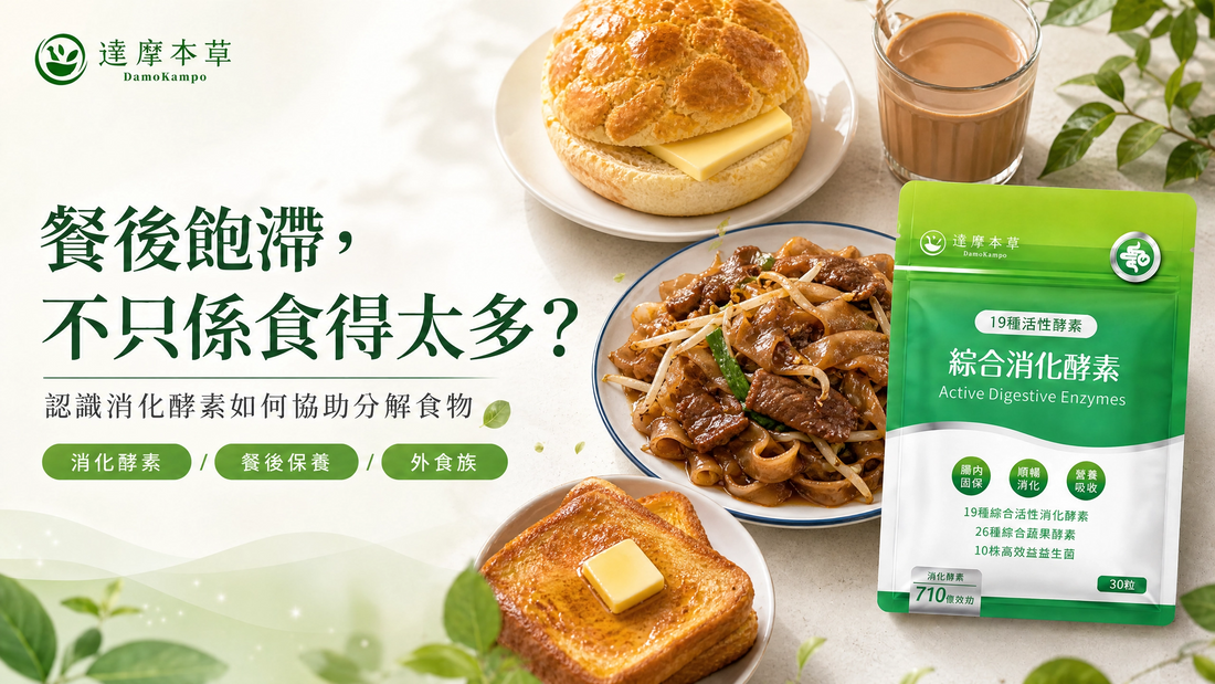 2026 香港消化保健推薦：營養師拆解 3 大餐後順暢保養關鍵｜達摩本草 DamoKampo