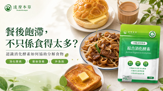 2026 香港消化保健推薦：營養師拆解 3 大餐後順暢保養關鍵｜達摩本草 DamoKampo