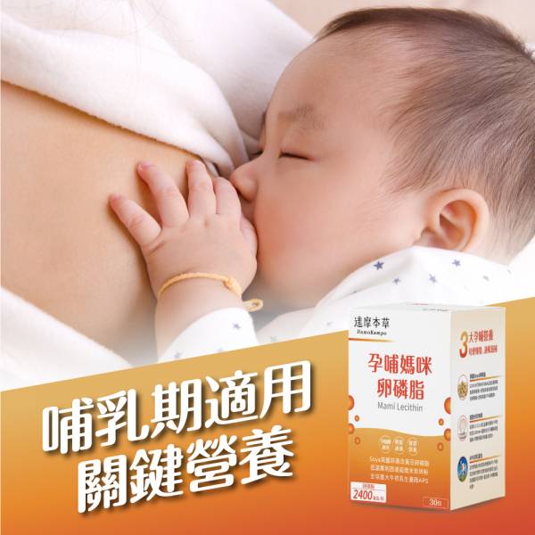達摩本草 孕哺媽咪卵磷脂粉包 30包