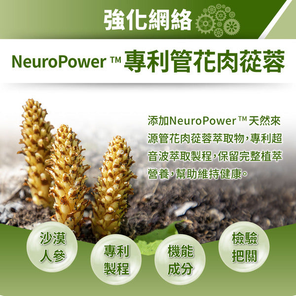 達摩本草 寧記助專利健腦膠囊 60粒