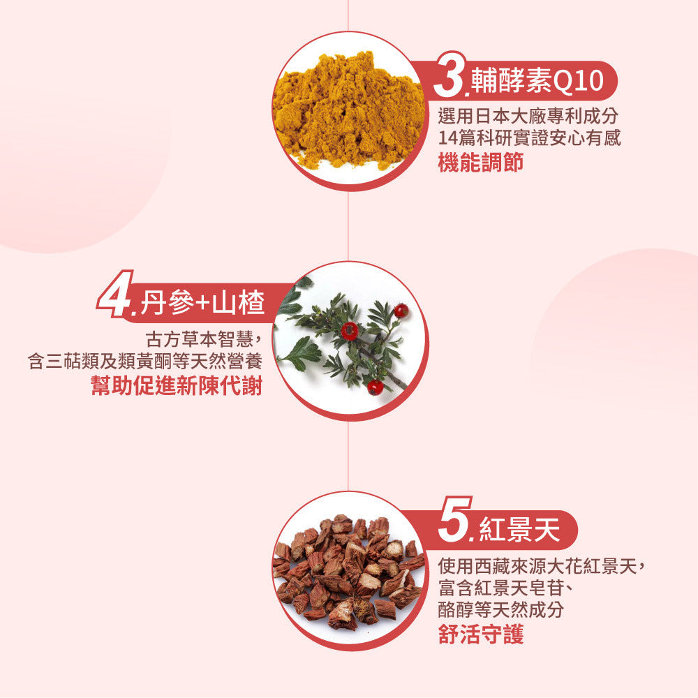 達摩本草 脂固康 納豆紅麴Q10 降醇膠囊 60粒