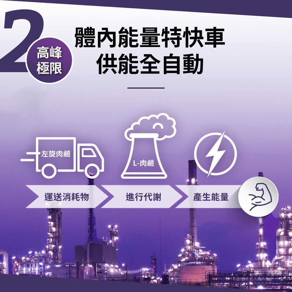 PowerHero 99.8%天然燃力L-肉鹼 60粒 <極限代謝減脂>