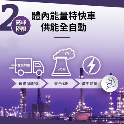 PowerHero 99.8%天然燃力L-肉鹼 60粒 <極限代謝減脂>