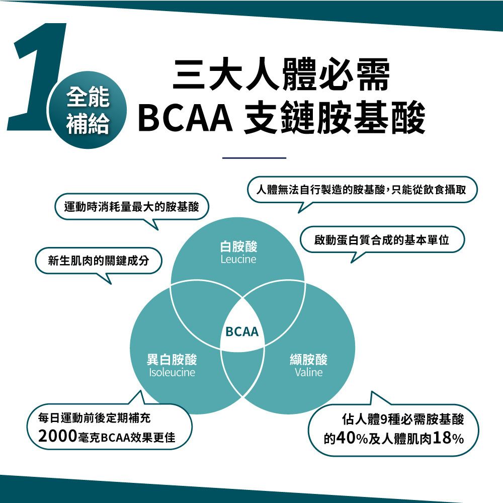 PowerHero 96% BCAA 支鏈胺基酸膠囊 60粒 <肌肉補給 減緩疲勞>