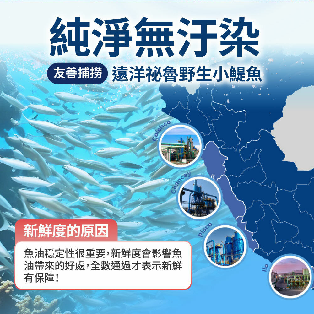 達摩本草 92% EPA 高濃度魚油 120粒